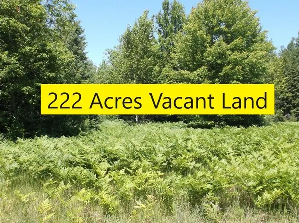 936 Motz Rd SW, Kalkaska, MI 49646