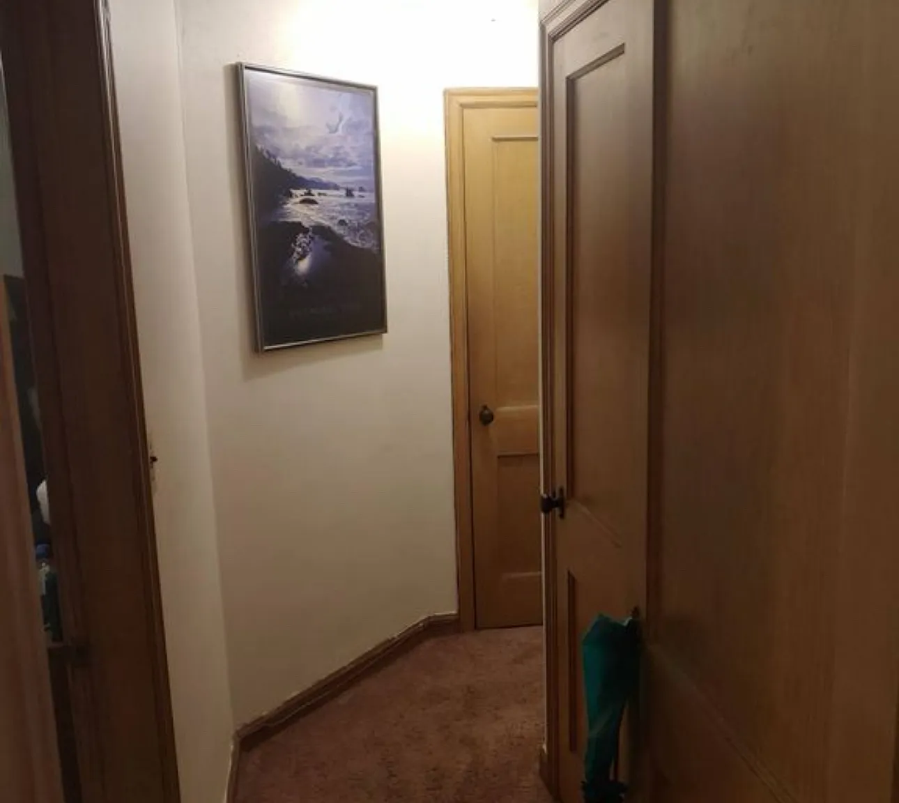 1 bed, 700 sqft, $1,150 — Photo 1