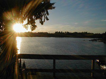 View from Living Room