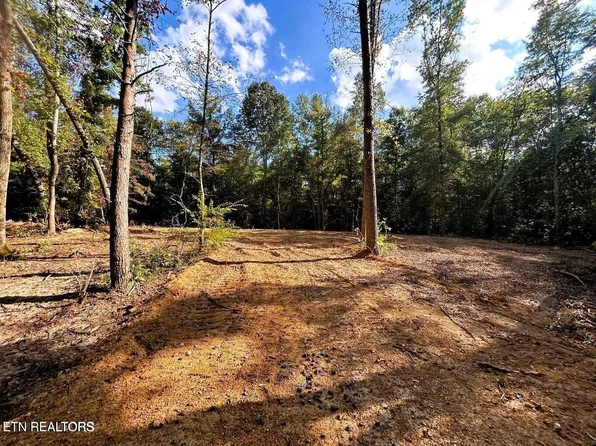 55 Pleasant Hill Rd Lot 1, Ten Mile, TN 37880