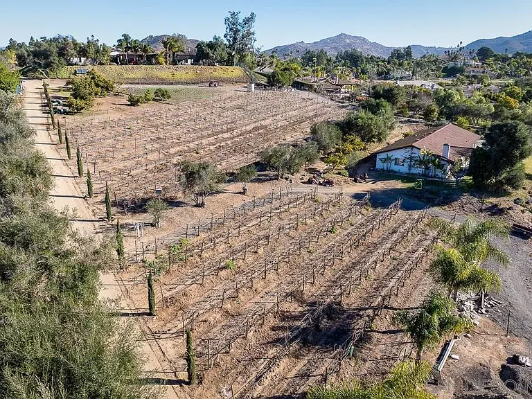 17617 Pomerado Rd #215 — Photo 57