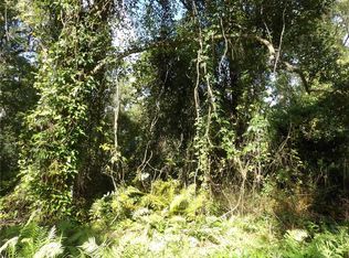 11th Avenue Lot #43, Deland, FL 32724