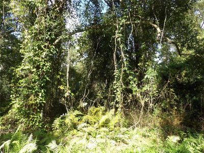 11th Avenue Lot #43, Deland, FL, 32724