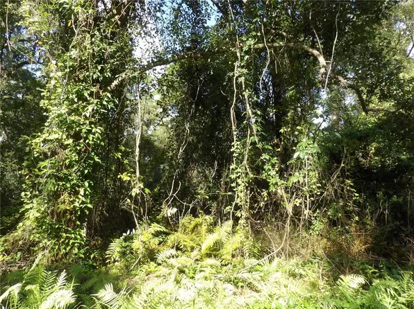 11th Avenue Lot #43, Deland, FL 32724