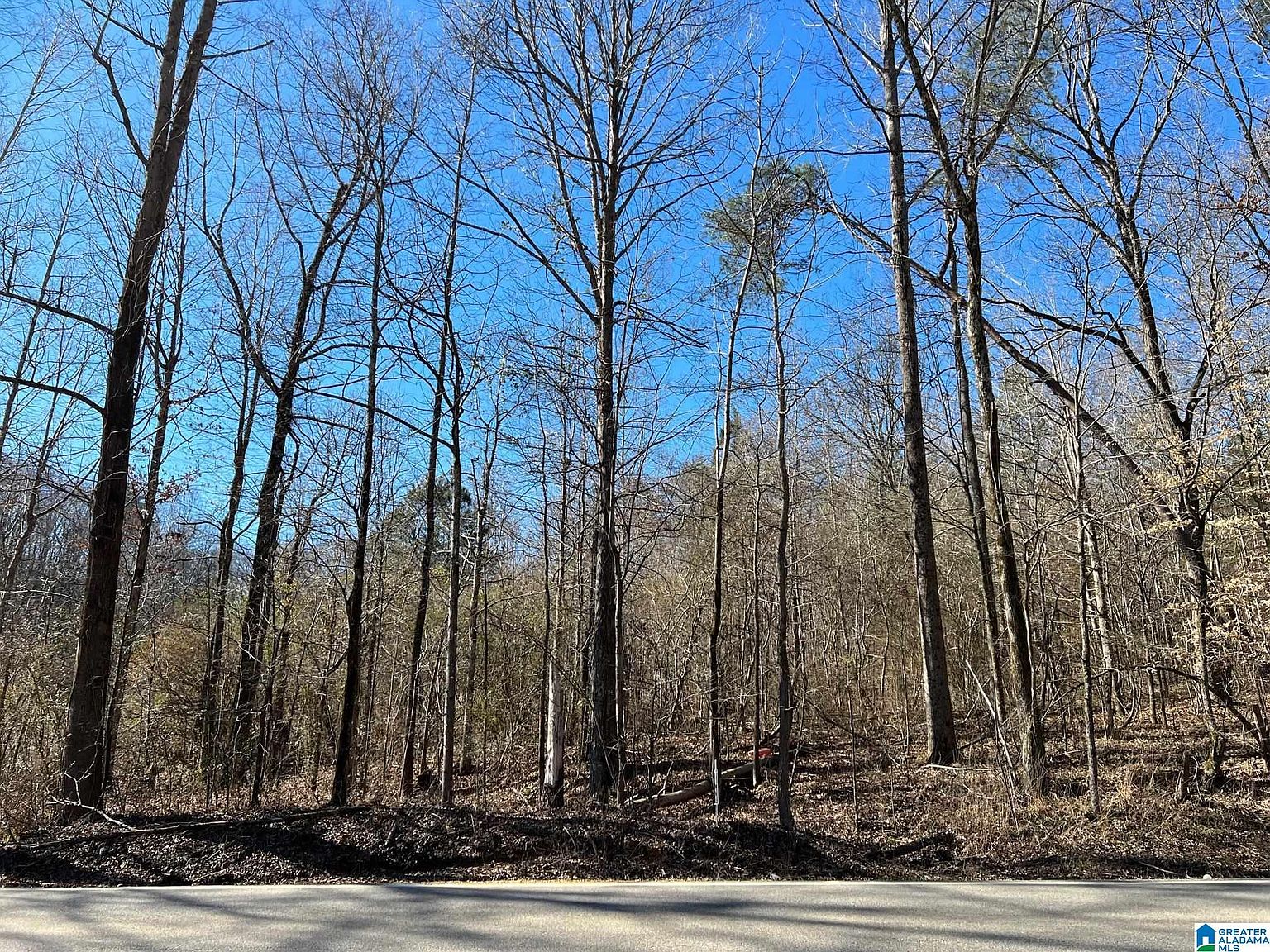 4448 Shady Grove Rd 17, Gardendale, AL 35071 Zillow