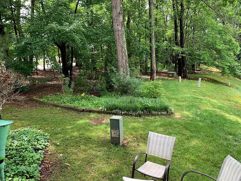 Backyard From Deck