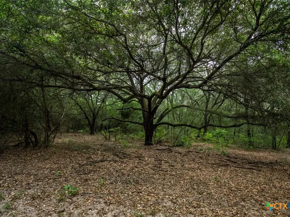 County Road 90e, Hallettsville, TX 77964