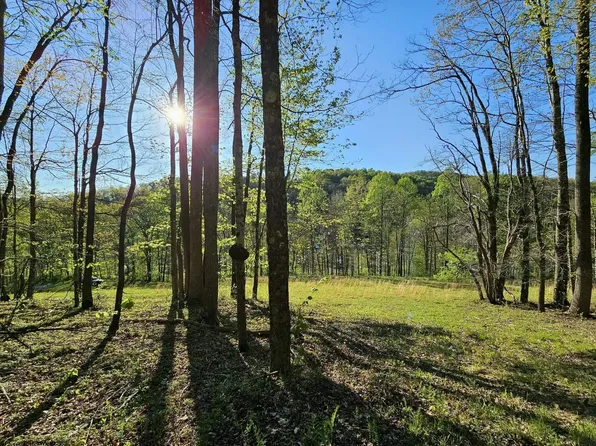 TRACT Three Isner Run, Elkins, WV 26241