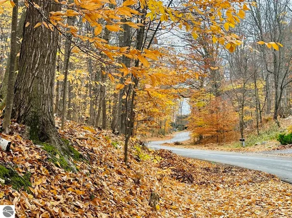 Spring Valley Rd, Beulah, MI 49617
