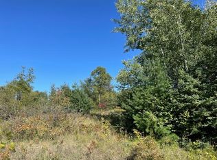 15469 Molineaux Rd, Wolverine, MI 49799