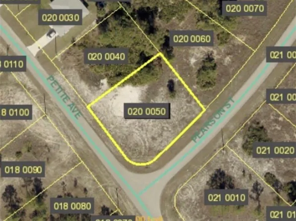 315 Petite AVE, LEHIGH ACRES, FL 33974