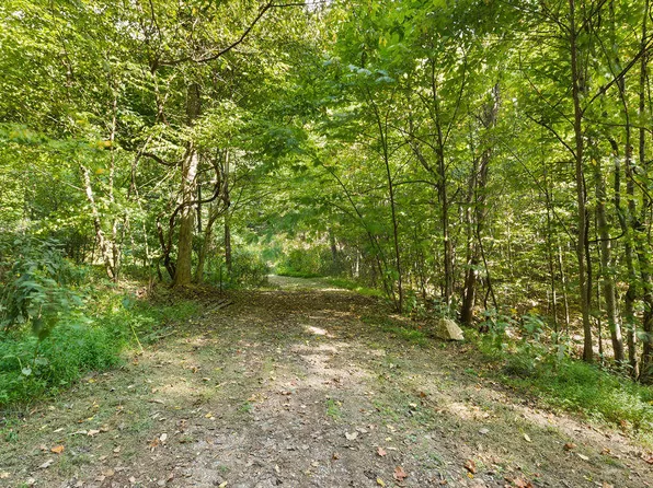 Long Branch Ln, Lexington, VA 24450
