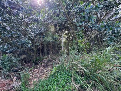 7th Ave Lot 1104, Keaau, HI, 96749