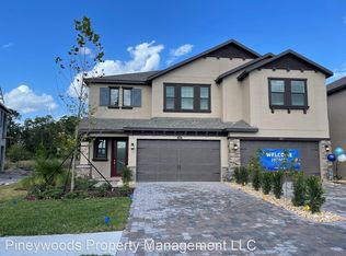 4597 Ancona Way, Wesley Chapel, FL 33543