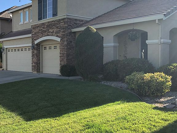 Front Yard
