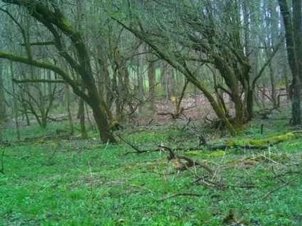 0 Skaneateles Tpke #8, Brookfield, NY 13314