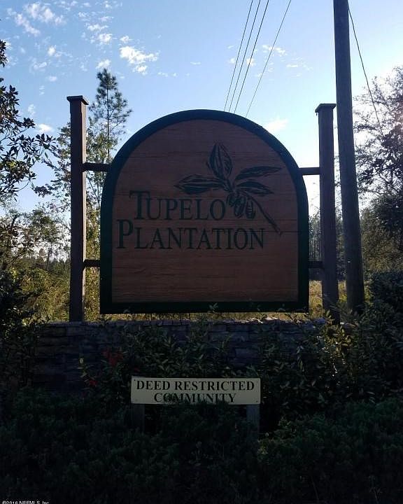 Tupelo