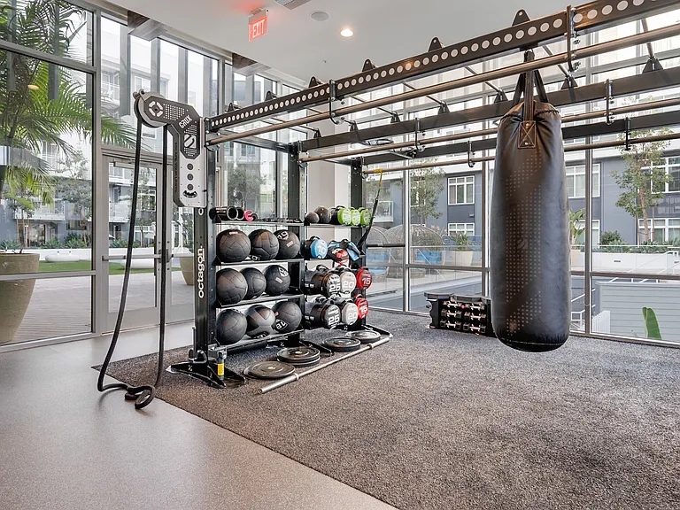 Vive Luxe, San Diego, CA, Fitness Center