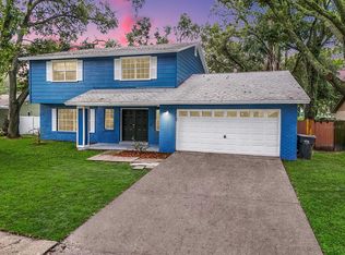 419 Van Reed Manor Dr, Brandon, FL 33511