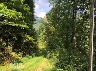 288 Billy Watts Cove Rd, Tiger, GA 30576