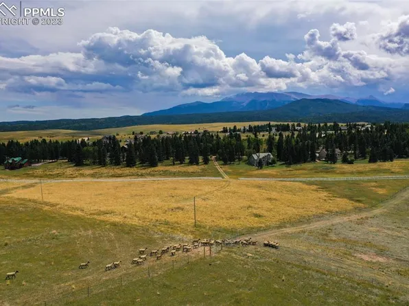 195 Joshua Rd, Divide, CO 80814