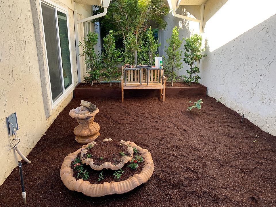 Front yard 