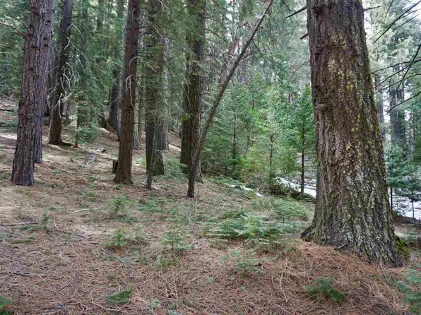 6 Pine Tree Ct #2, Blairsden Graeagle, CA 96103