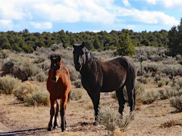 Parcel 17 Alta Mesa Drive, San Luis, CO 81152