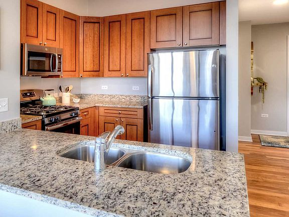 3rd image of 547 S Clark St #1119