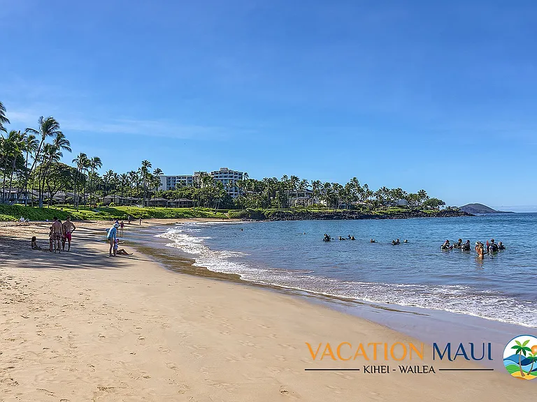 Wailea Alanui Dr — Photo 44