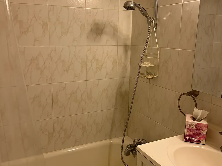 315 W 3rd St #4A — Photo 10