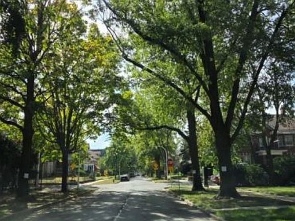 Exterior Neighborhood (street photo)