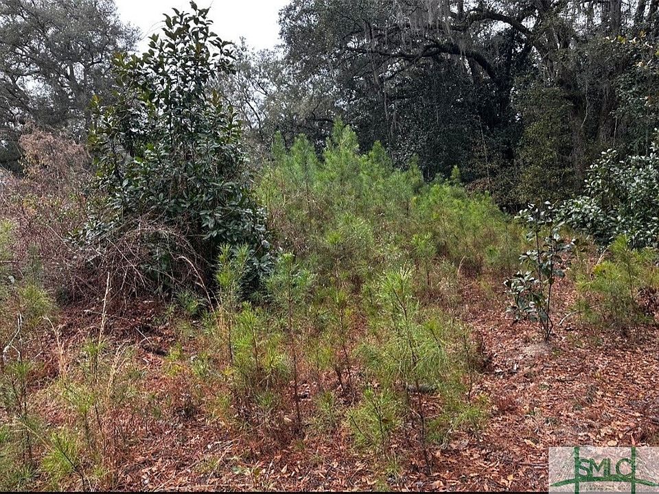2nd image of 4 Acres E Oglethorpe Highway