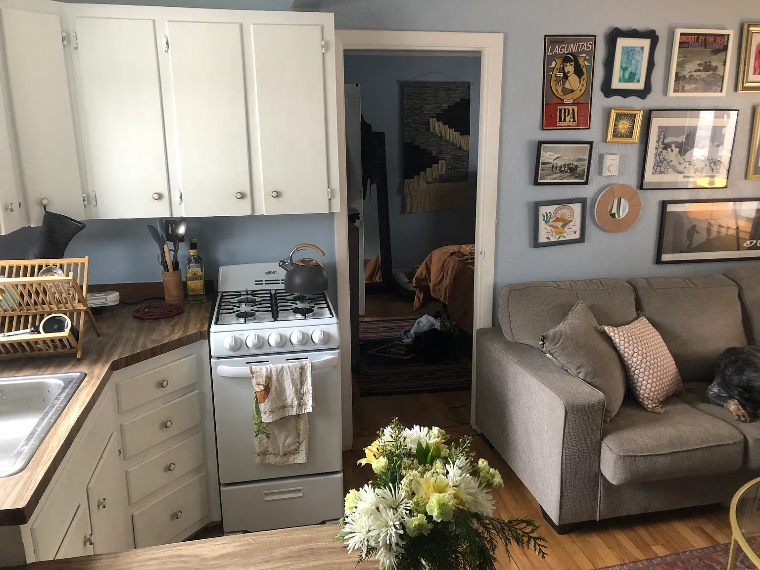 1 bed, 250 sqft, $900 — Photo 2