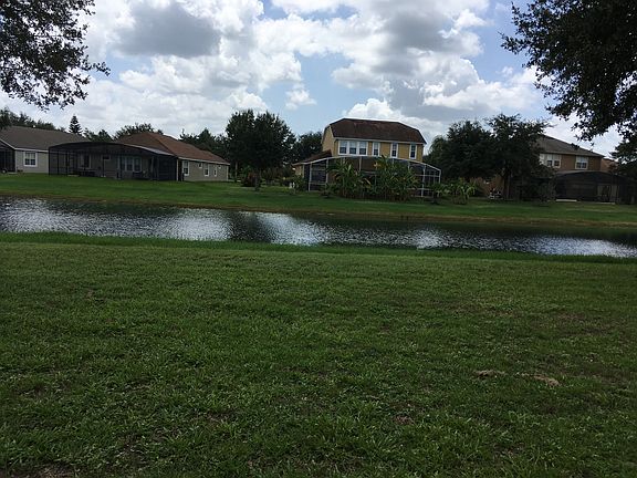 View of pond from patio 