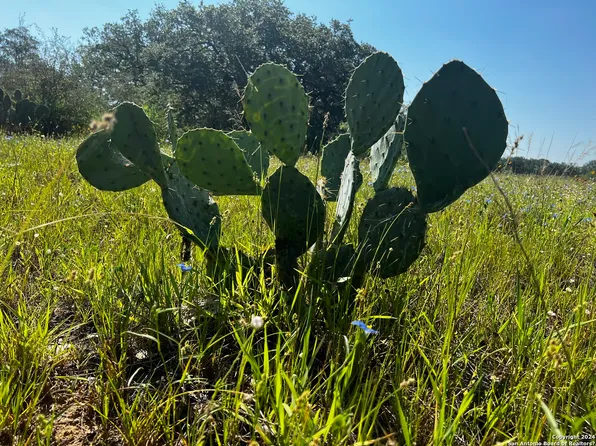 1280 Rendon Rd LOT 3, Poteet, TX 78065