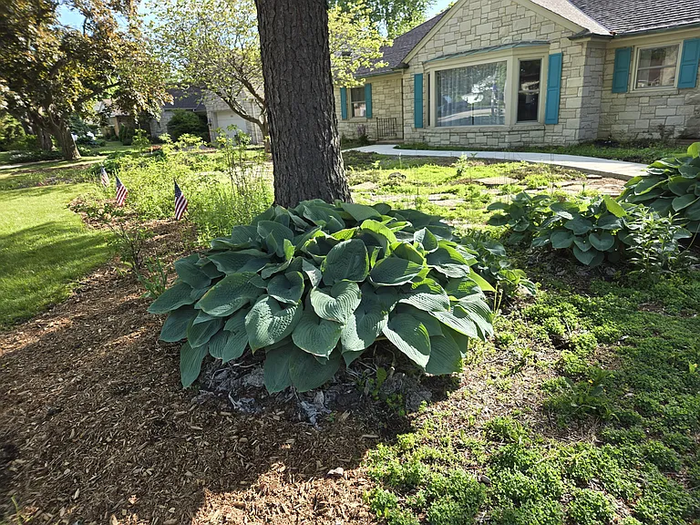 3345 N Main St — Photo 38