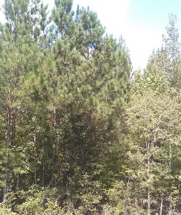 2nd image of 3980 McCormick Hwy
