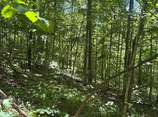 1 Ashland Rdg, Porters Falls, WV 26162