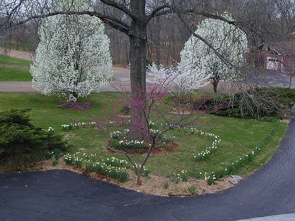 Spring splendor views