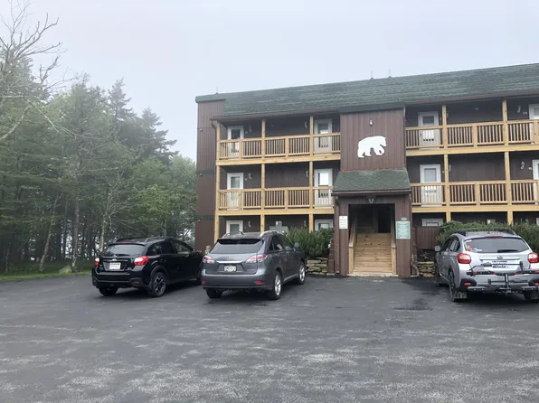 52 Mountain Crest Dr, Slatyfork, WV 26291