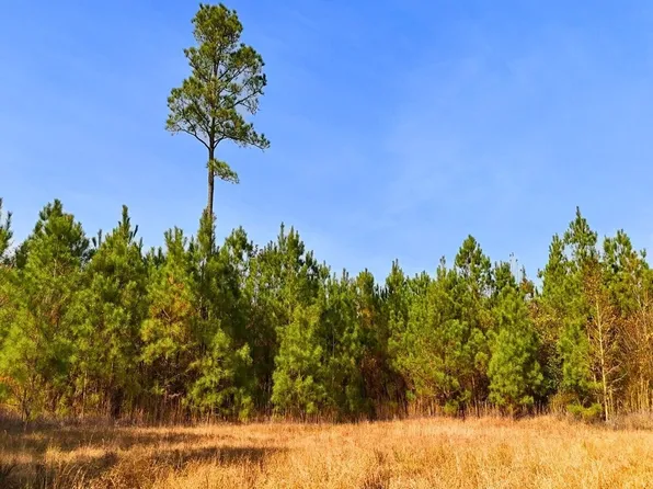 Off Lagrange Rd, La Grange, NC 28551