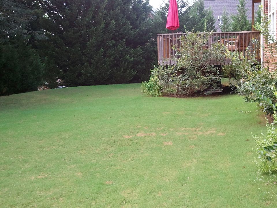 Backyard - private with deck