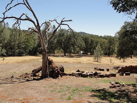 Out the front, there is a stream on the left and the property goes down by where this pump house is!