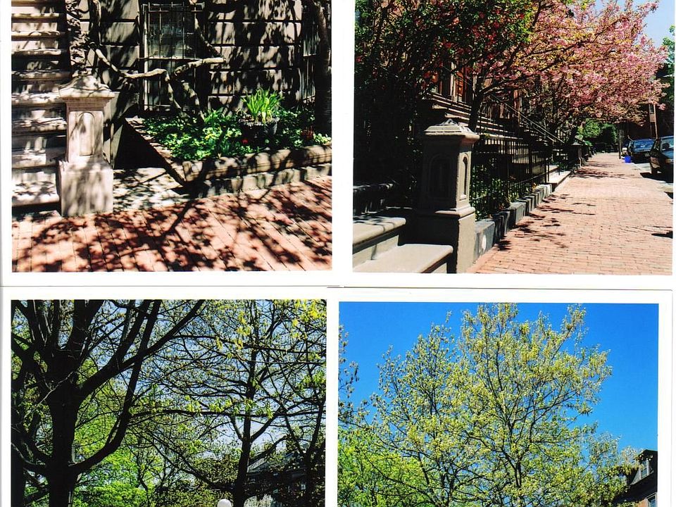 548 Massachusetts Avenue overlooks beautiful historical Chester Square (1850)