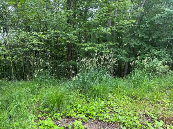 0 Academy Hill Rd, Coudersport, PA 16915