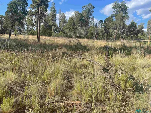 75 Dry Creek Dr, Timberon, NM 88350