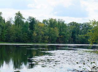 Patch Rd, Clarklake, MI 49234