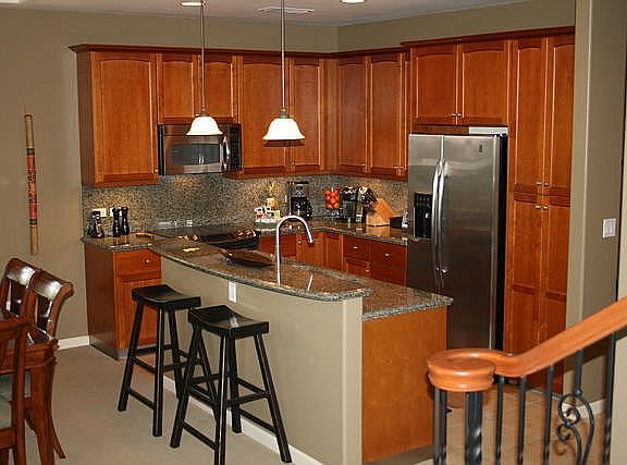 Newer fridge and microwave