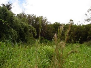 Road 5 LOT 295, Volcano, HI 96785